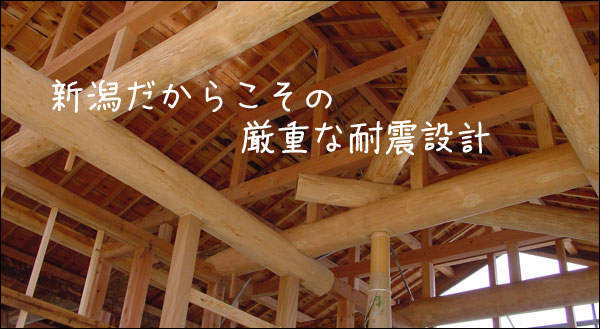 �V�������炱���̌��d�ȑϐk�݌v